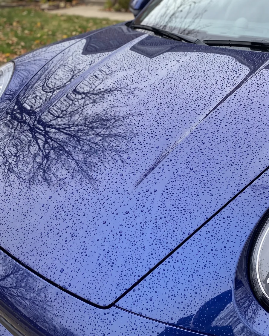 Small water beads on a coated dark blue hood reflecting bare branches